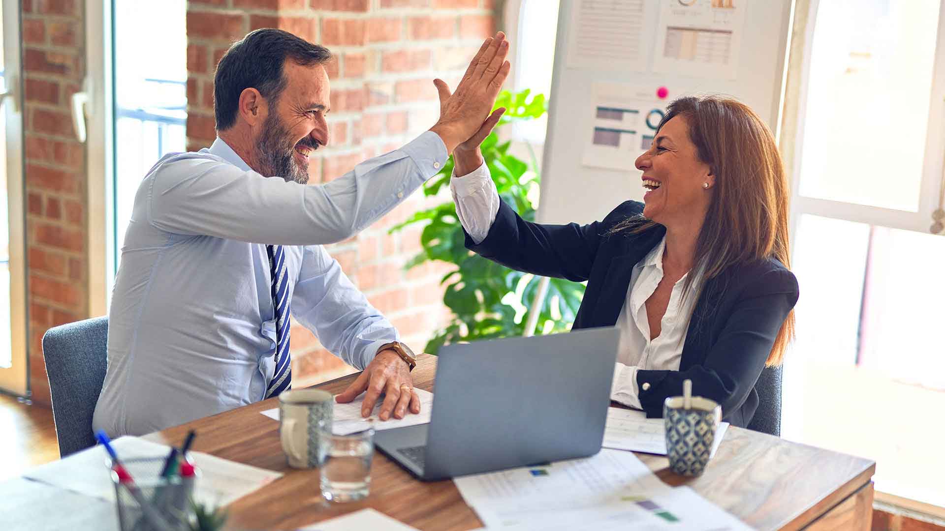 Software Development